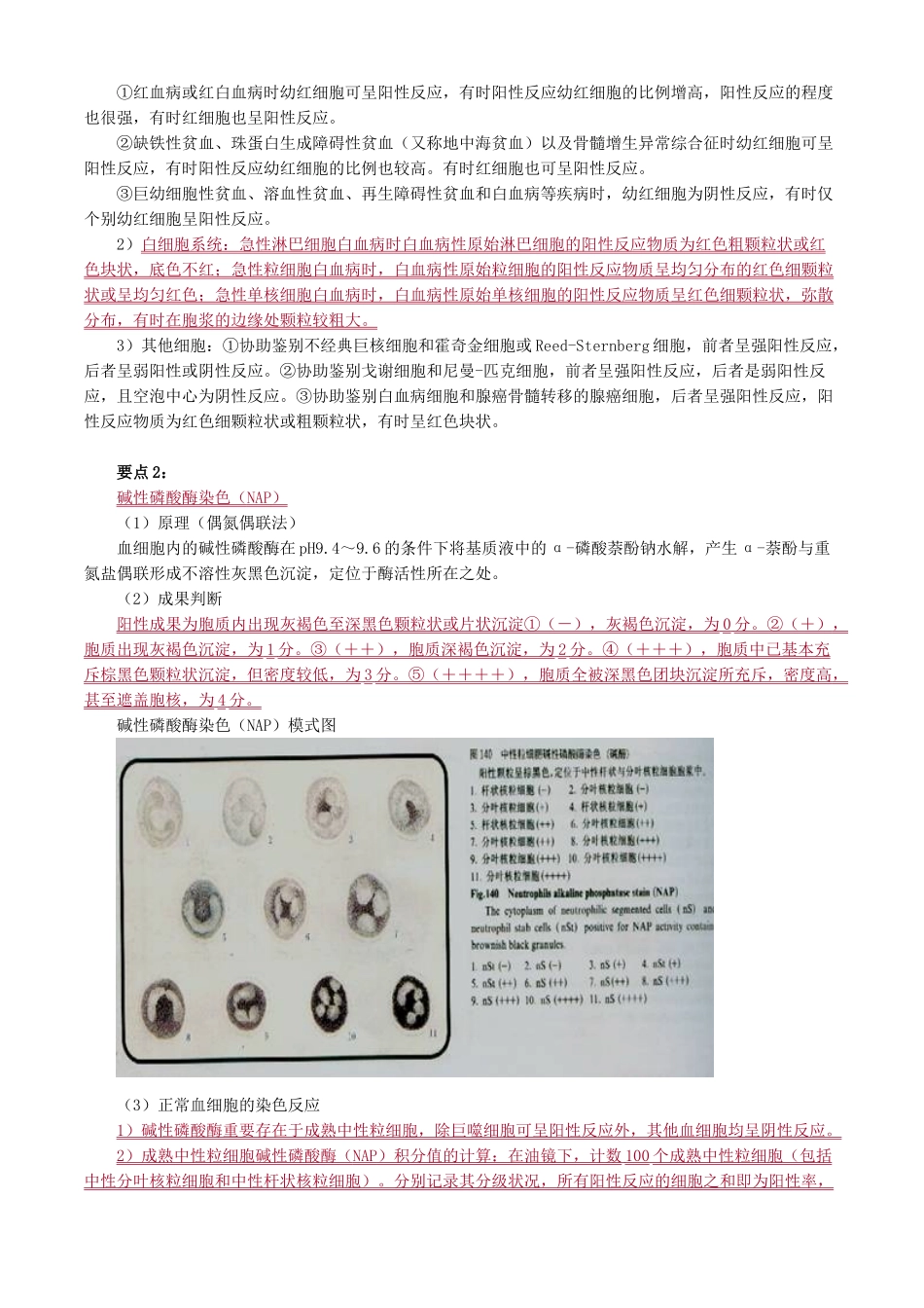 2024年主管检验技师考试临床医学检验血液学检验讲义第4章血细胞化学染色的临床应用_第3页