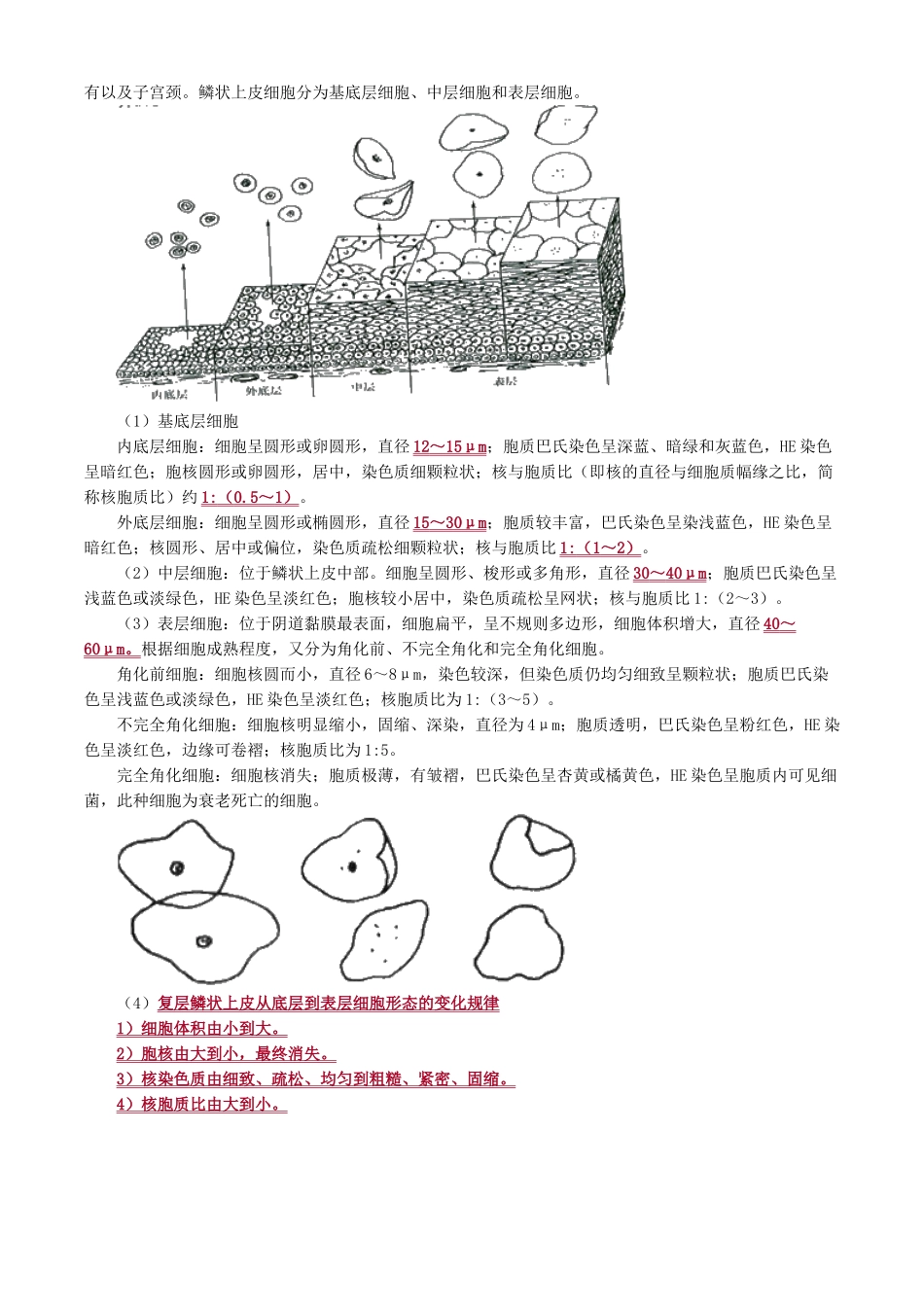 2024年主管检验技师临床检验基础讲义第二十章脱落细胞检查_第2页