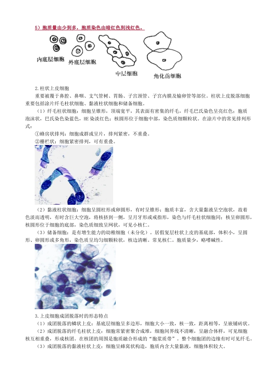 2024年主管检验技师临床检验基础讲义第二十章脱落细胞检查_第3页
