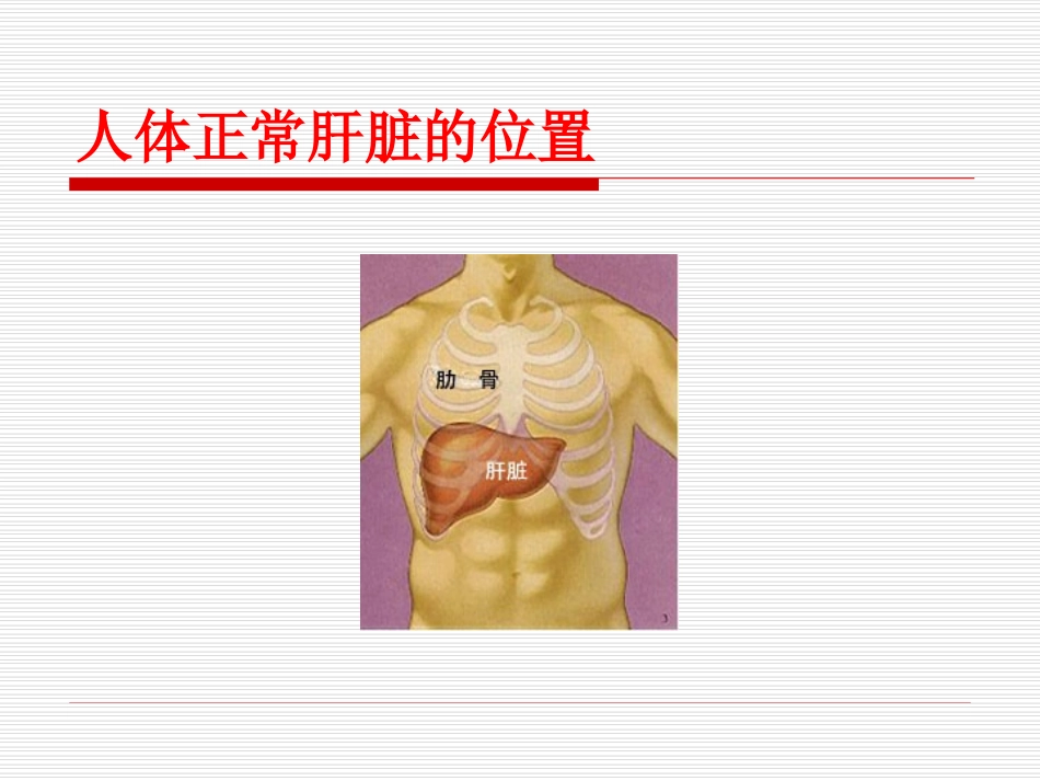 脂肪肝健康教育PPT培训课件_第3页