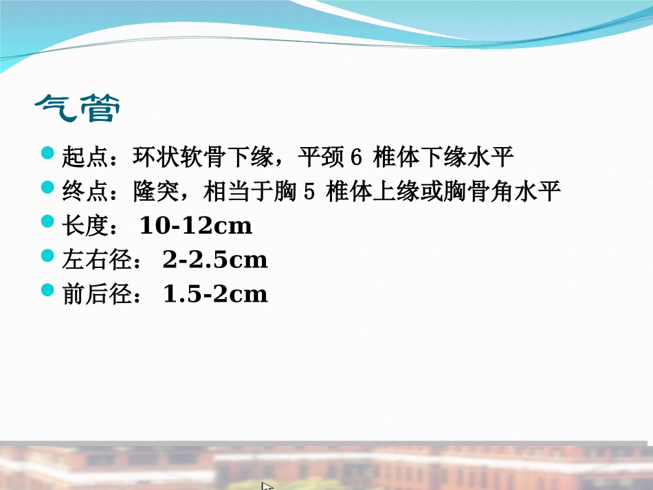 支气管及肺解剖PPT培训课件_第2页