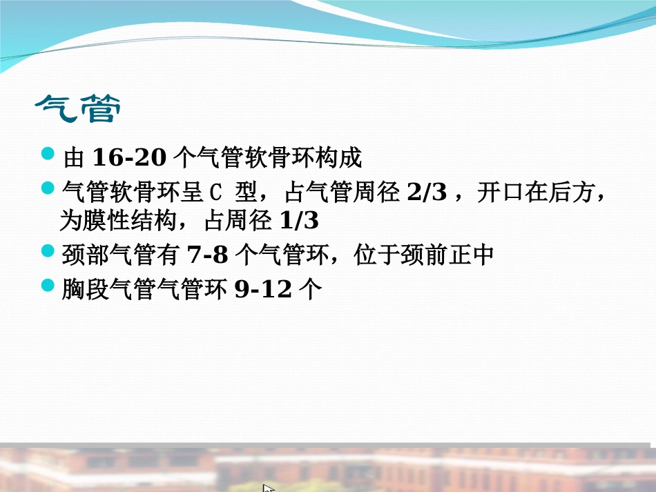 支气管及肺解剖PPT培训课件_第3页