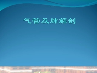 支气管及肺解剖PPT培训课件