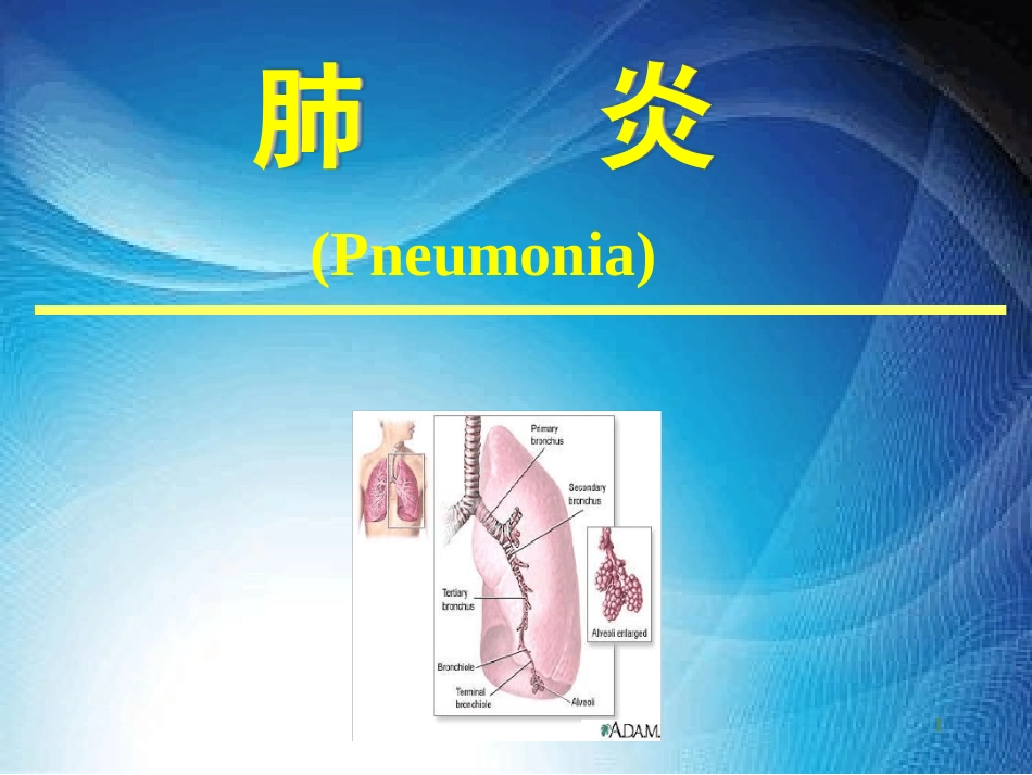 支气管肺炎优秀PPT培训课件_第1页
