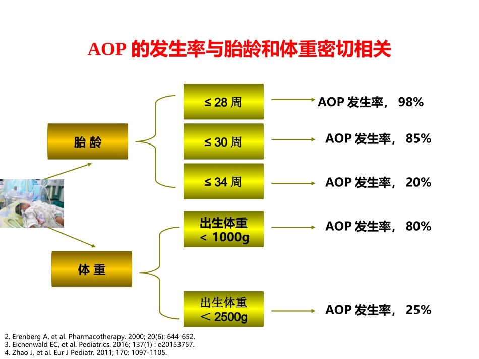 早产儿呼吸暂停PPT培训课件_第2页