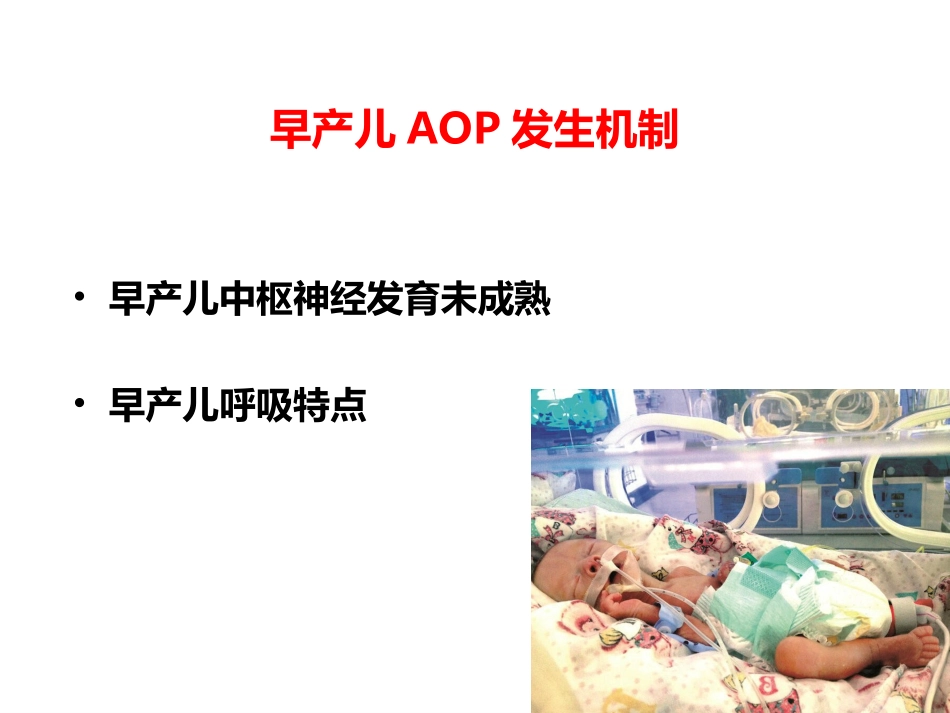 早产儿呼吸暂停PPT培训课件_第3页