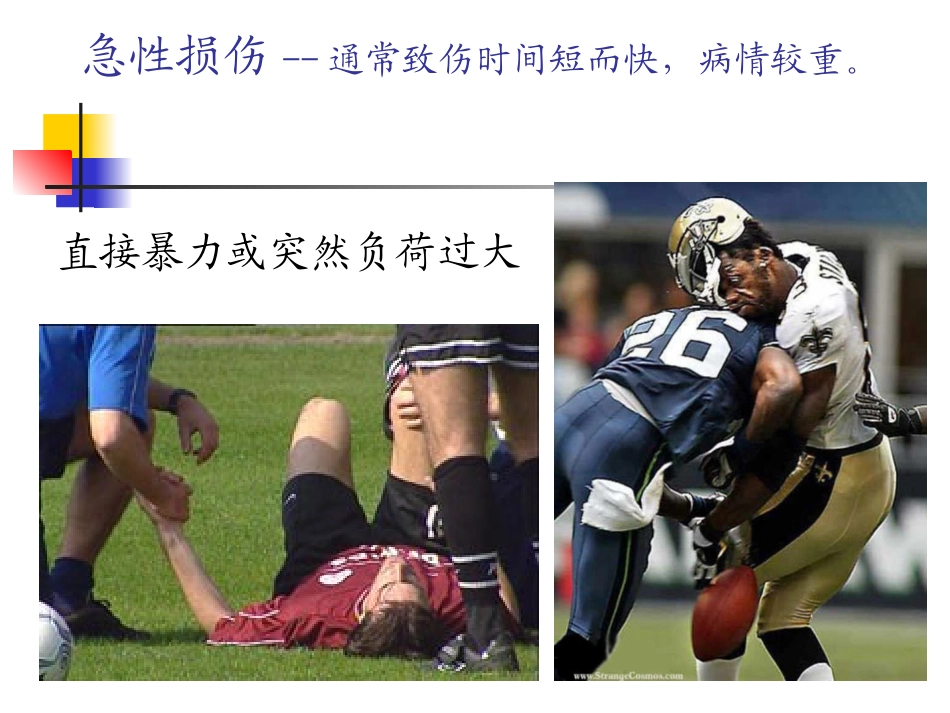 运动损伤康复PPT培训课件_第3页