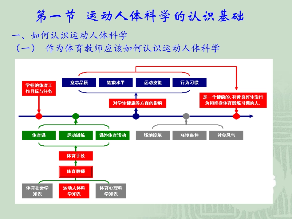 运动人体科学PPT培训课件_第2页