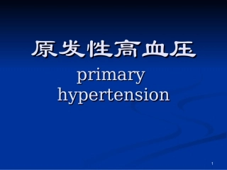 原发性高血压病PPT培训课件