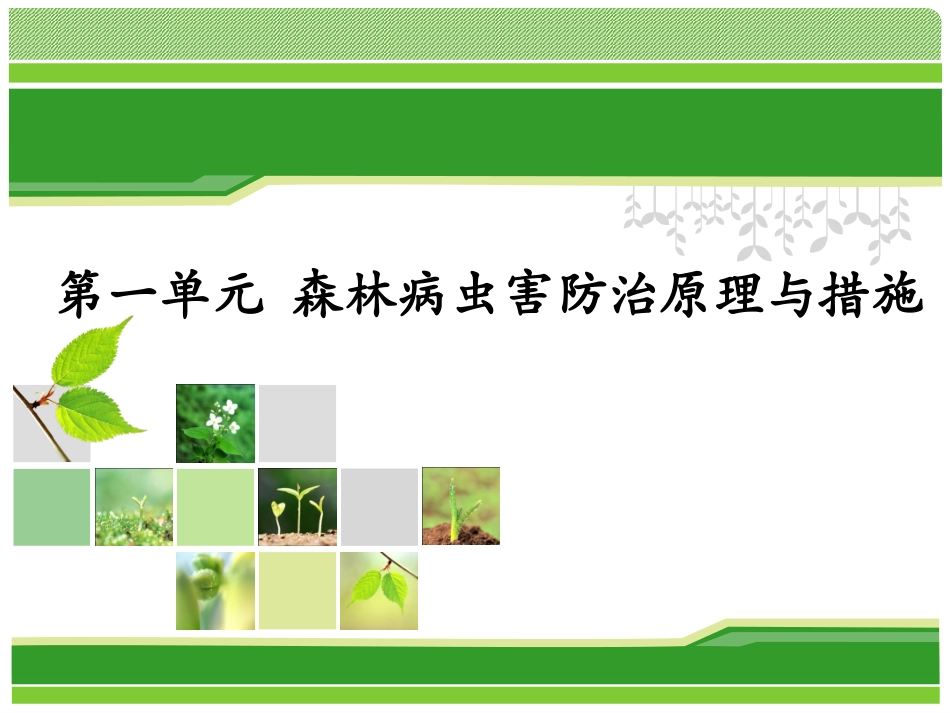园林植物病虫害PPT培训课件_第1页