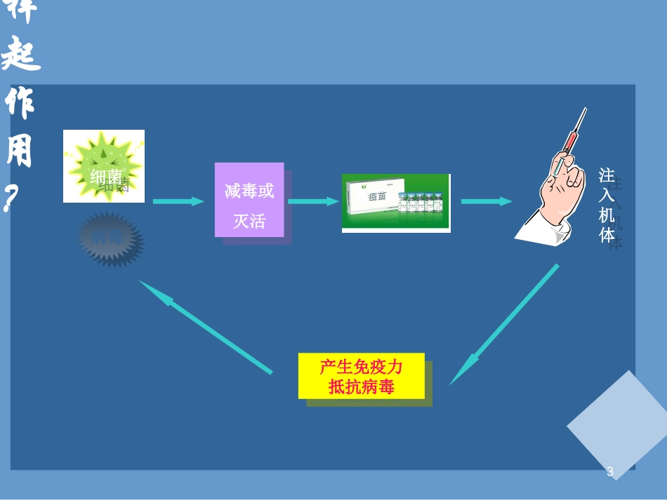 预防接种宣传PPT培训课件_第3页