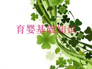 育婴基础知识PPT培训课件