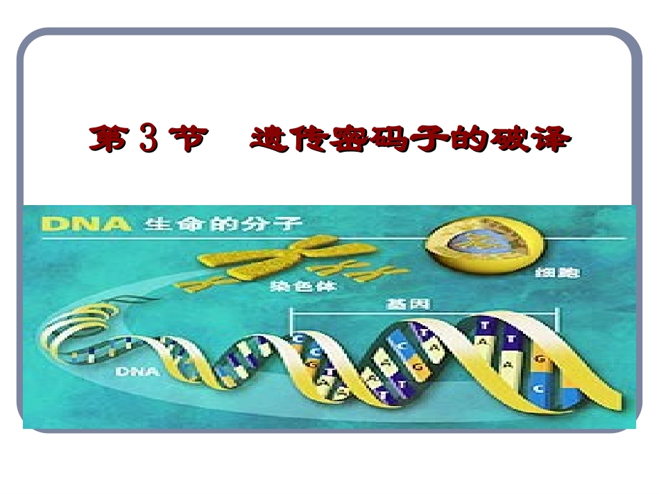 遗传密码的破译PPT培训课件_第1页