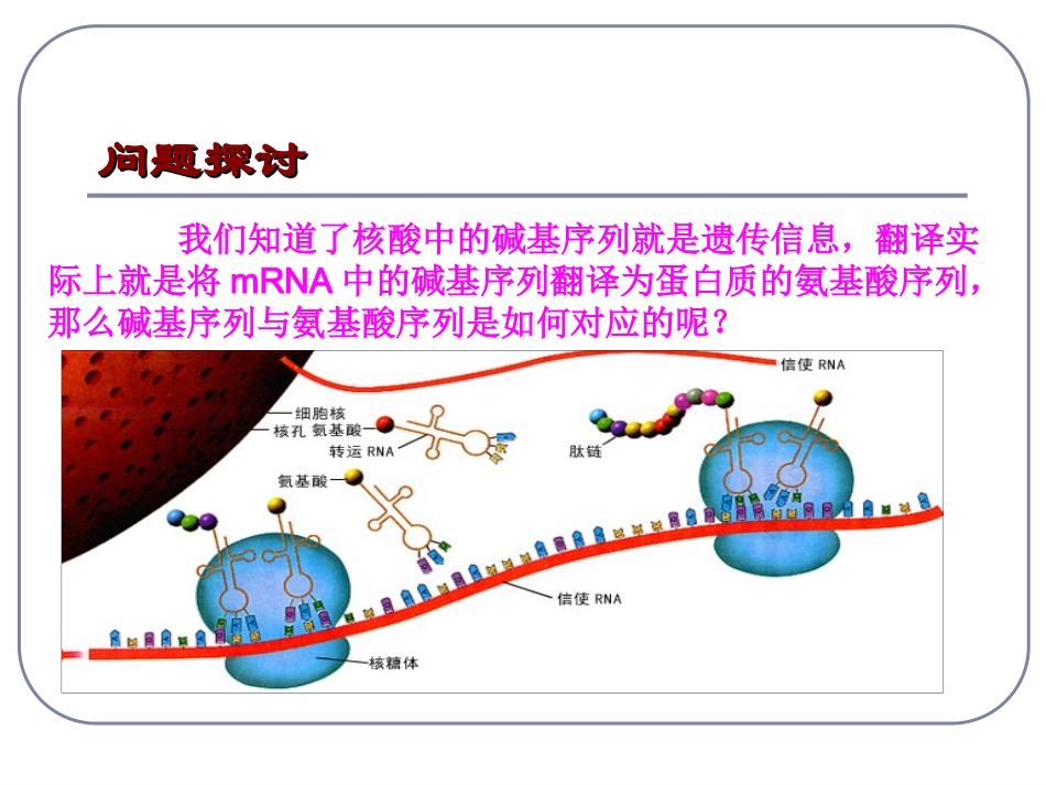 遗传密码的破译PPT培训课件_第2页