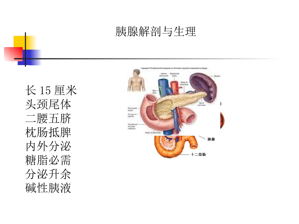 胰腺炎诊治指南PPT培训课件_第2页