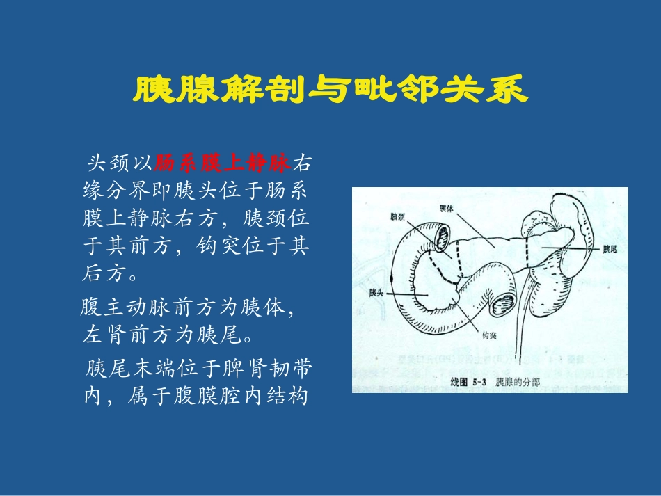 胰腺癌影像诊断PPT培训课件_第2页