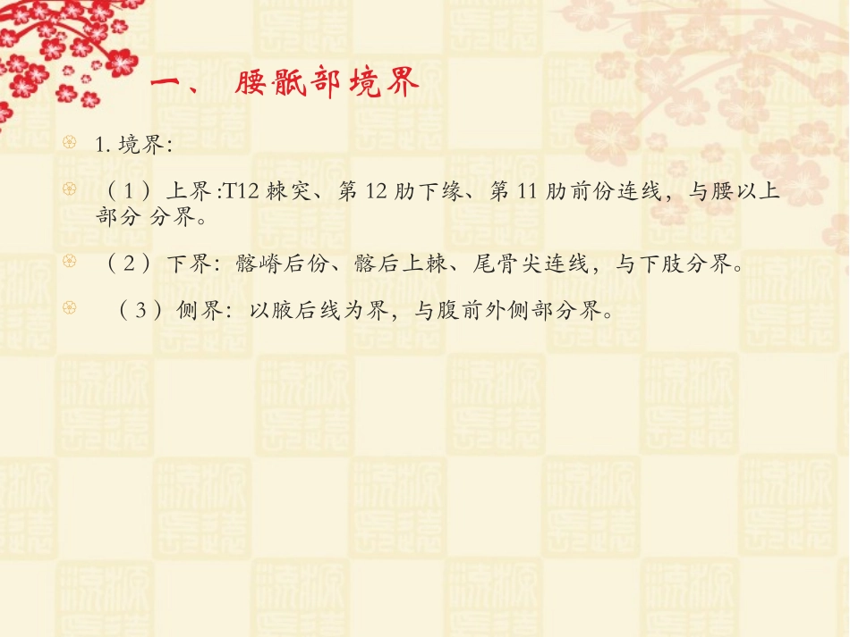 腰部应用解剖PPT培训课件_第2页
