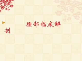 腰部应用解剖PPT培训课件