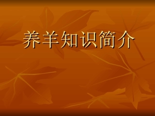 养羊知识简介PPT培训课件