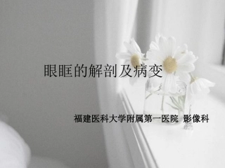 眼眶解剖与病变PPT培训课件