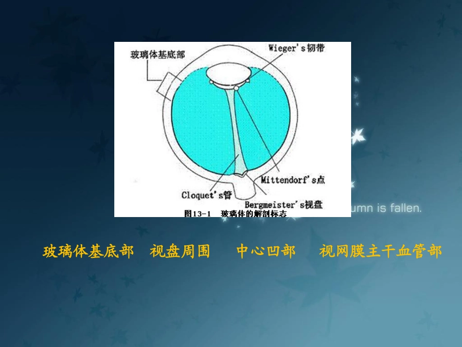 眼科学玻璃体病PPT培训课件_第2页