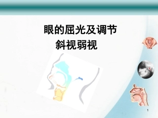 眼的屈光及调节PPT培训课件