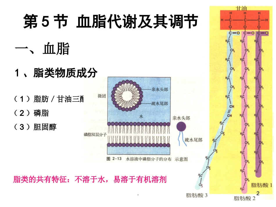 血脂血压调节PPT培训课件_第2页