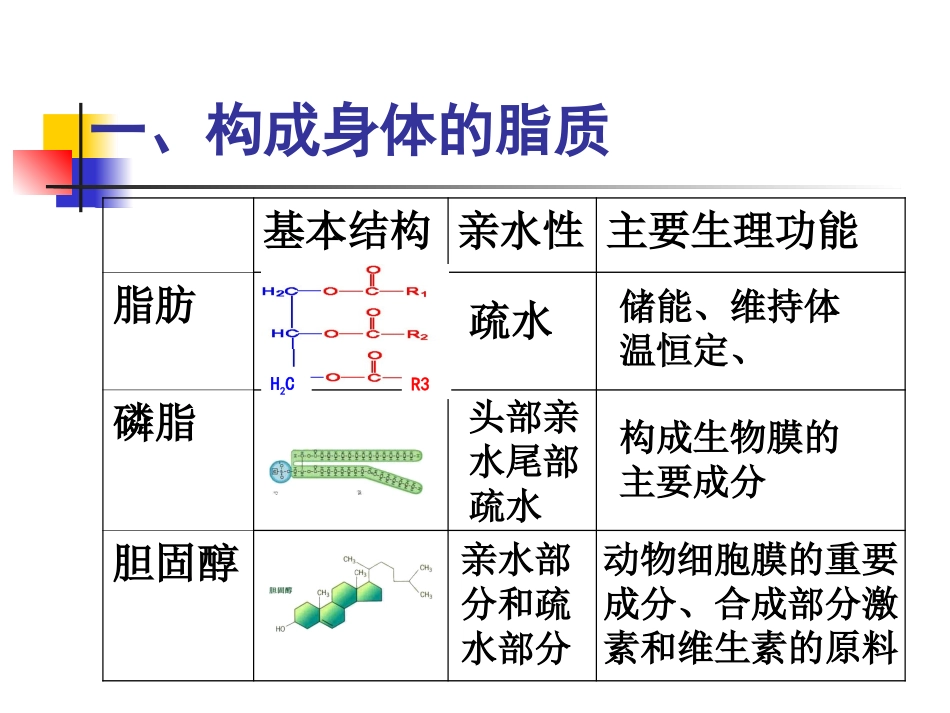 血脂代谢与调节PPT培训课件_第2页