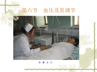 血压及其调节PPT培训课件