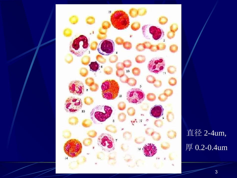 血小板聚集功能PPT培训课件_第3页