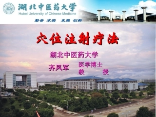 穴位注射疗法PPT培训课件