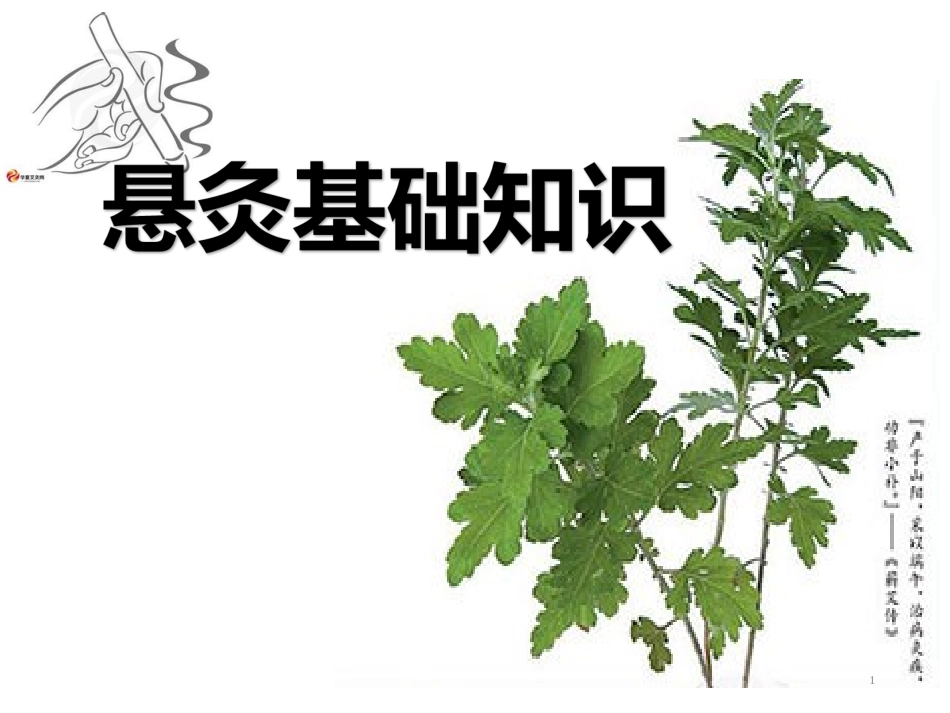 悬灸基础知识PPT培训课件_第1页