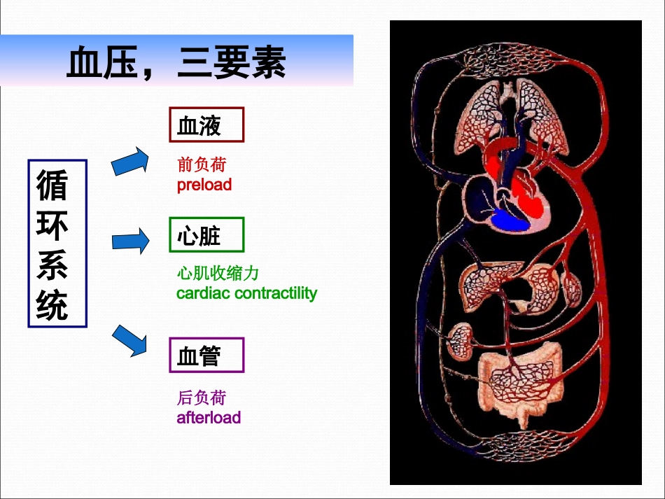 休克的诊断思路PPT培训课件_第3页