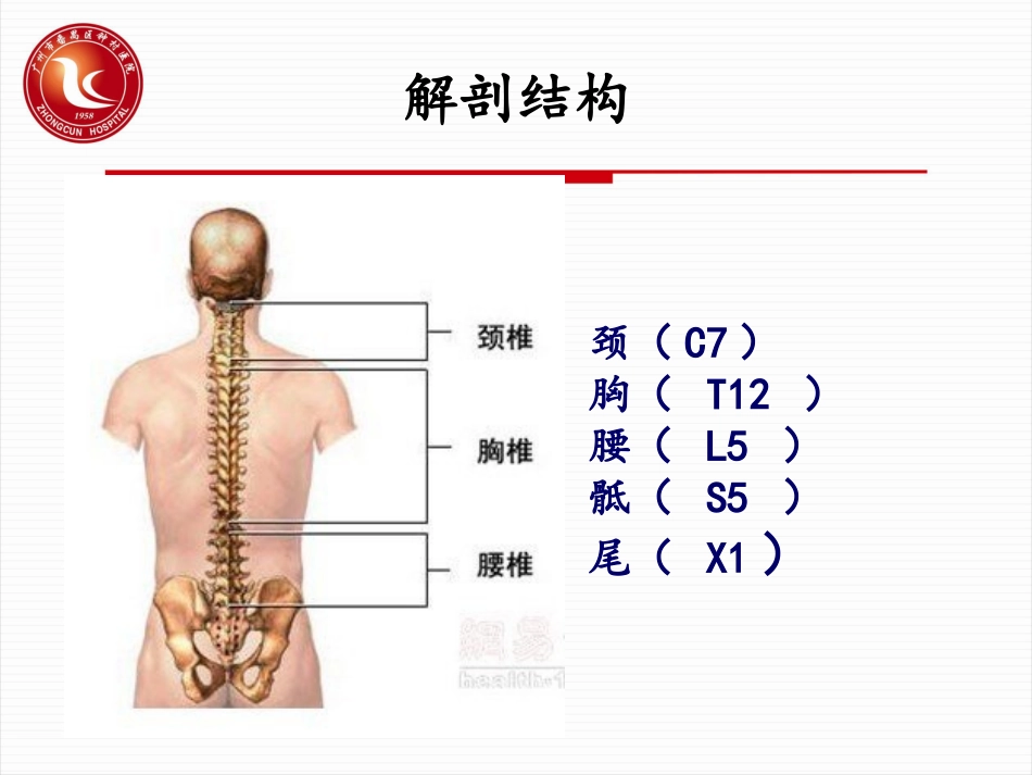 胸椎骨折护理PPT培训课件_第3页
