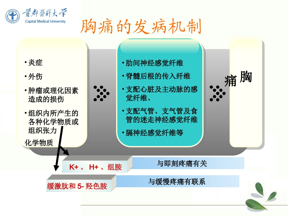 胸痛的诊治流程PPT培训课件_第3页