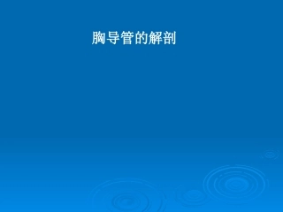 胸导管的解剖PPT培训课件