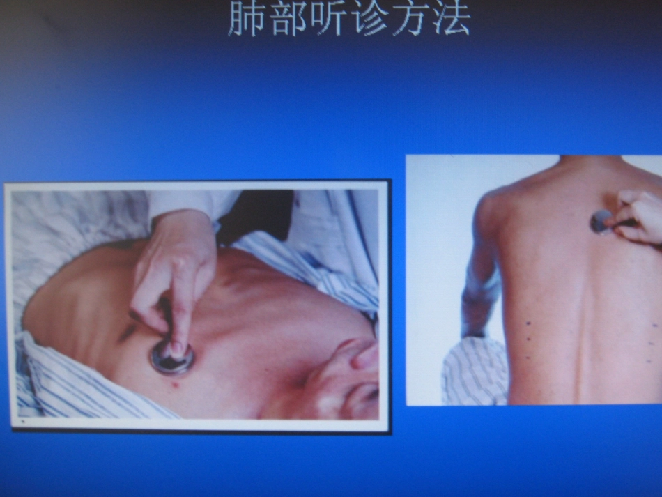 胸部听诊详解PPT培训课件_第3页