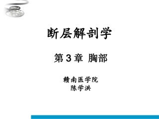 胸部断层解剖PPT培训课件
