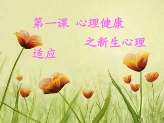 新生心理适应PPT培训课件