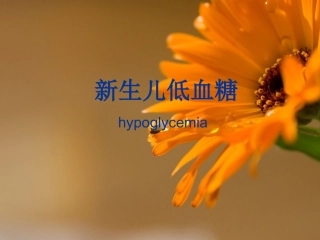 新生儿低血糖PPT培训课件