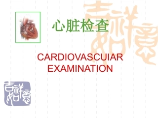 心脏体格检查PPT培训课件