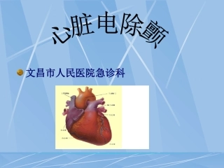 心脏电除颤术PPT培训课件
