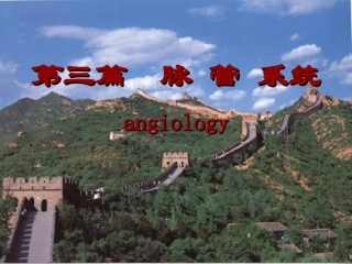 心血管循环心PPT培训课件