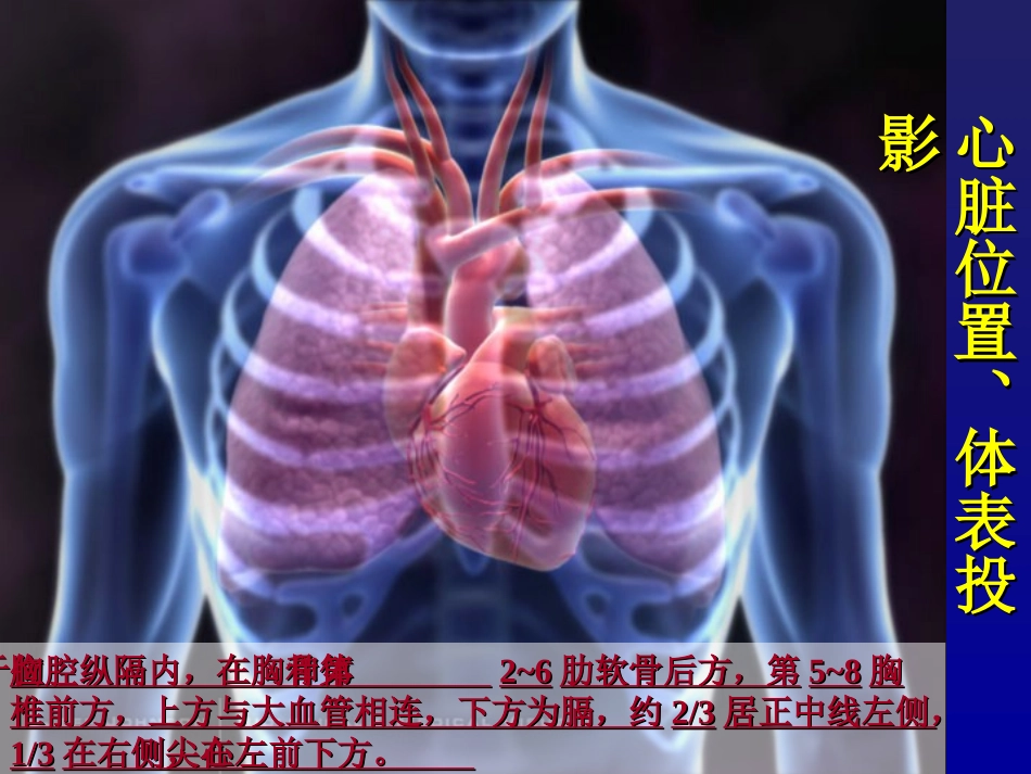 心血管体格检查PPT培训课件_第3页