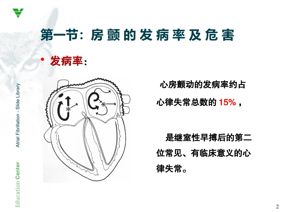 心房颤动心电图PPT培训课件_第2页