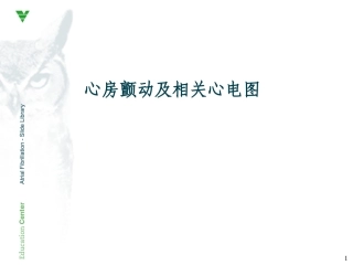 心房颤动心电图PPT培训课件