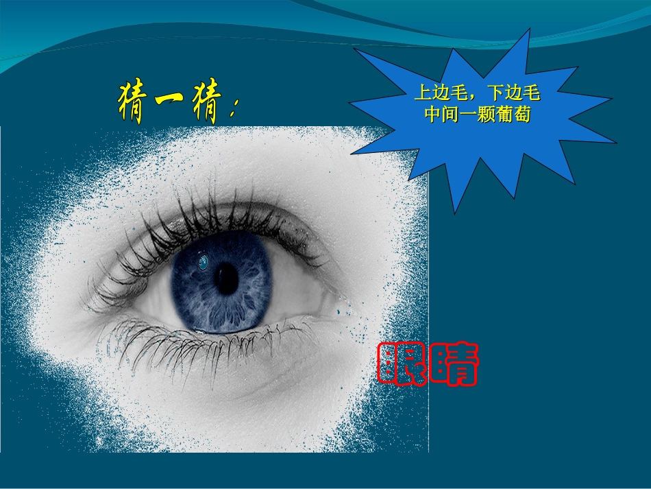 小学生预防近视PPT培训课件_第2页