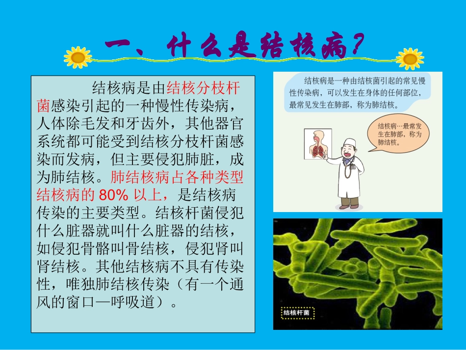 小学结核病防治PPT培训课件_第3页