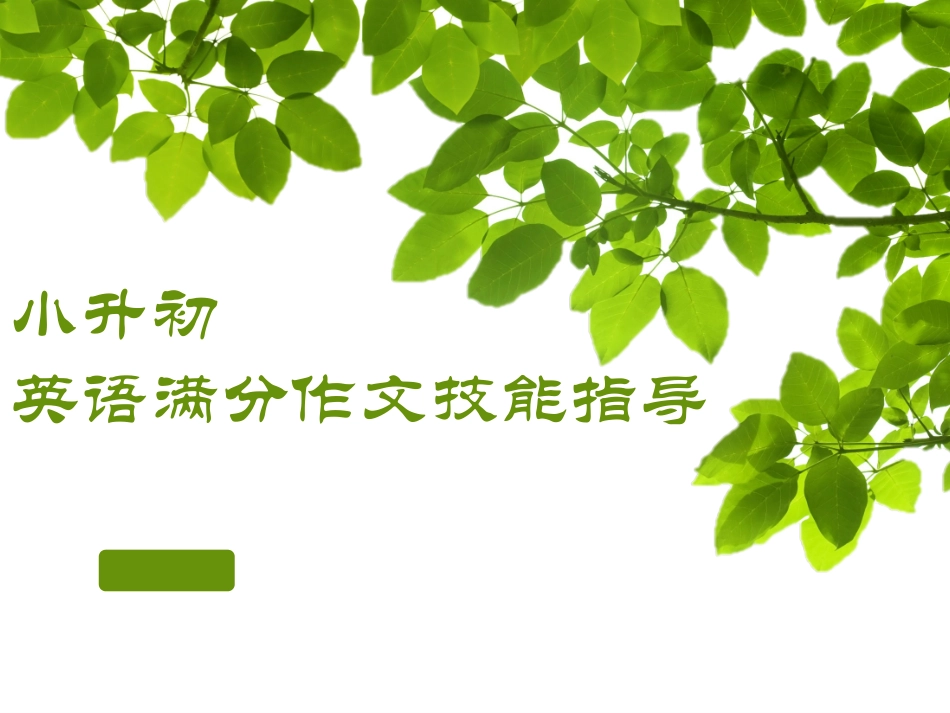 小升初英语作文PPT培训课件_第1页