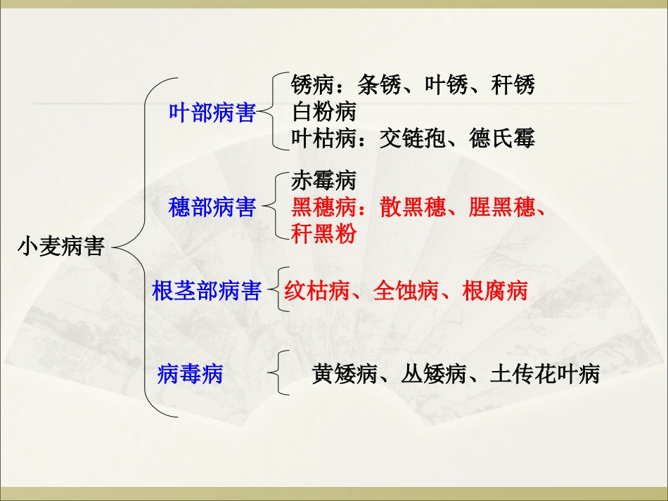 小麦主要病虫害PPT培训课件_第2页